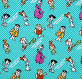 Character. scrub cap (made with licensed Flintstones fabric)